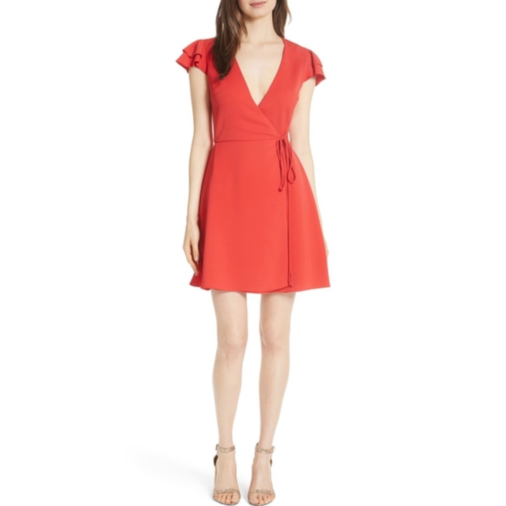 Alice and Olivia dress